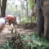 Agnes salue l'elephant