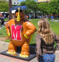 Mascotte de l'University of Maryland