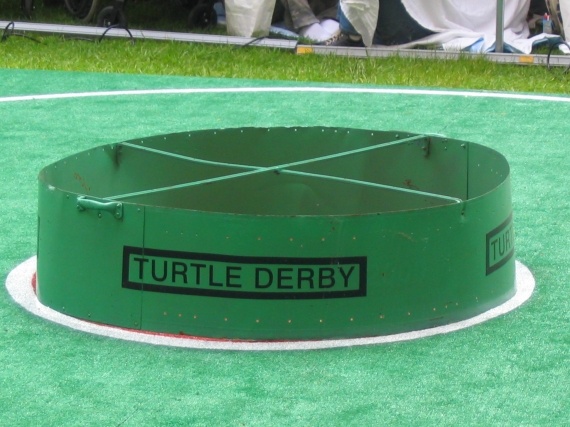 Turtle Derby