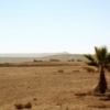 Desert du Neguev