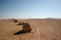 Desert du Neguev