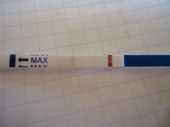 A Quoi Ressemble Une Barre D'évaporation Barre d evaporation ??? - Tests et symptômes de grossesse - FORUM