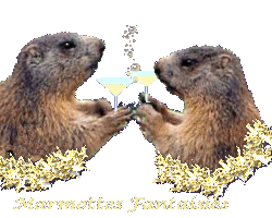 Le Club Des Marmottes Fatigue Et Baisse De Tonus Forum Sante Doctissimo