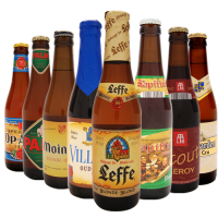 lot-8-bouteilles-bieres-belges-500_1