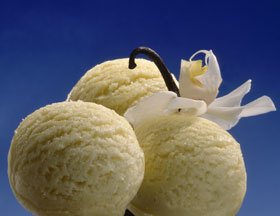 boules-de-glace-vanille-avec-sa-fleur-zDE216