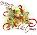 tree_frog_christmas_cards-p1377149593503440337gq6_325