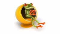 Frogs_wallpapers_282