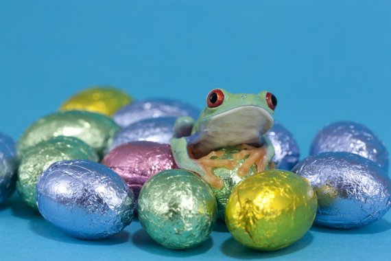 easter_frog_2_by_anginelson-d3czg4f