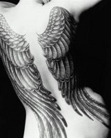 ailes-d-ange-tatouage