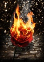 rose_on_fire_by_kirstenstar-d4q8ayi