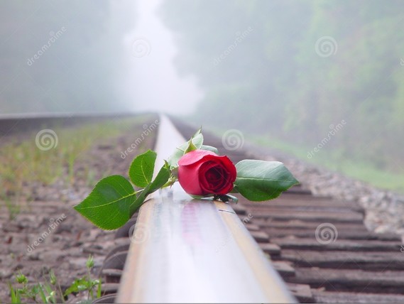 red-rose-railroad-190703