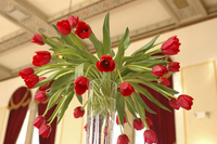 centre-de-table-tulipe-rouge