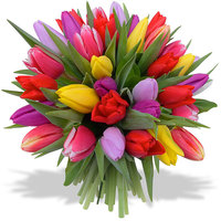 bouquet-rond-100-tulipes-multicolore-vif_22552