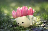 tulip_girl_by_lieveheersbeestje-d5s3onk