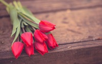 Tulips-flowers-35964183-1440-900