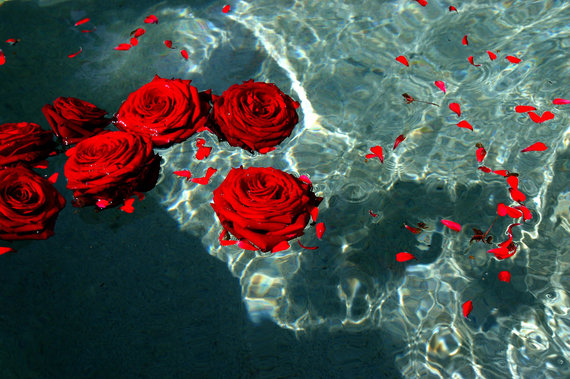 red_roses_by_shavari1-d4gjlh5