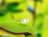 frog_by_chicho21net