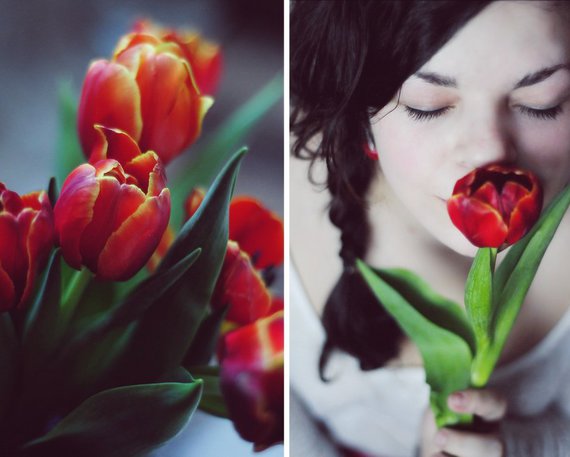 tulip_by_parallelis-d3b161a