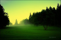 Foggy_green_light___by_closer_to_heaven