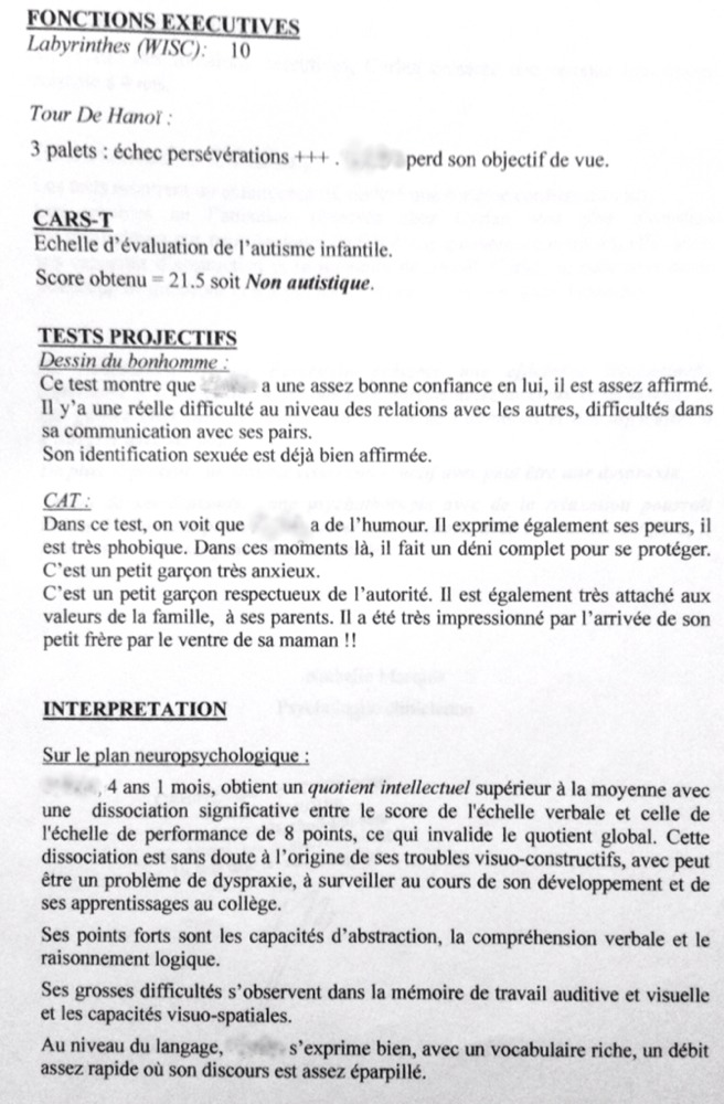 Bilan d'un Wppsi besoin d'un avis Enfants précoces, enfants surdoués