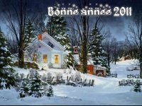bonne-annee-2011-13847736678