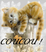 chats_1-53coucou