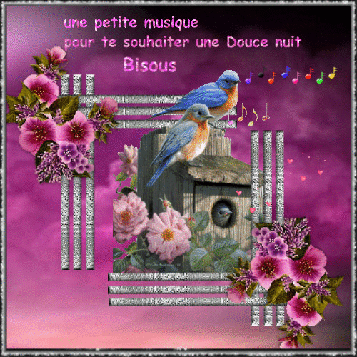 pensées affectueuses - NUIT (bonne) - ray78 - Photos - Club Doctissimo