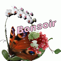 bonsoir-mars-mini_140520073901450459-tns0