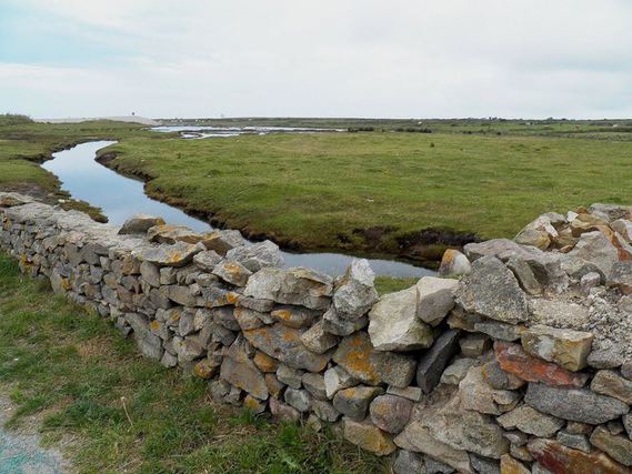 Muret typiquement du Cotentin