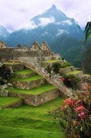 Machu Picchu  -  PEROU