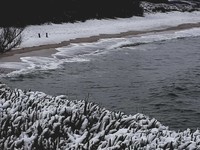 Une plage du Cotentin 19/03/2018