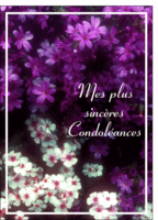1233-Mes plus sinceres condoleances_maxi