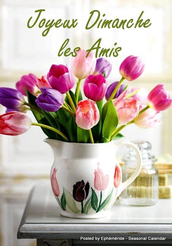 Dimanche Ray78 Photos Club Doctissimo Dimanche Ray78 Photos Club Doctissimo