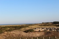 Une vue du Cotentin