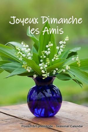 N Dimanche Ray78 Photos Club Doctissimo N Dimanche Ray78 Photos Club Doctissimo