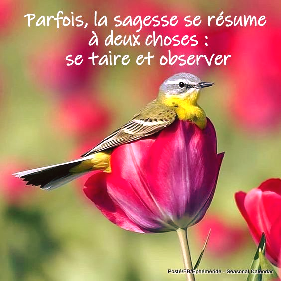 Citations 3 Ray78 Photos Club Doctissimo Citations 3 Ray78 Photos Club Doctissimo