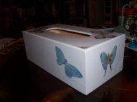 Boîte à mouchoir papillon (vue 2)