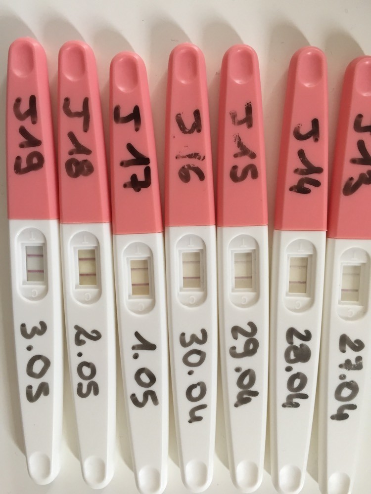 mon test d'ovu Tests et symptômes de grossesse FORUM Grossesse