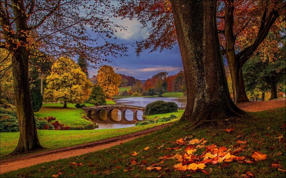 ciel-eau-arbres-nature-automne-foret-hdr-riviere-passerelle-pont-parc