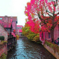 Bruges-Belgique