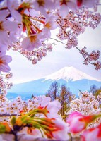 Mont Fuji-Japan