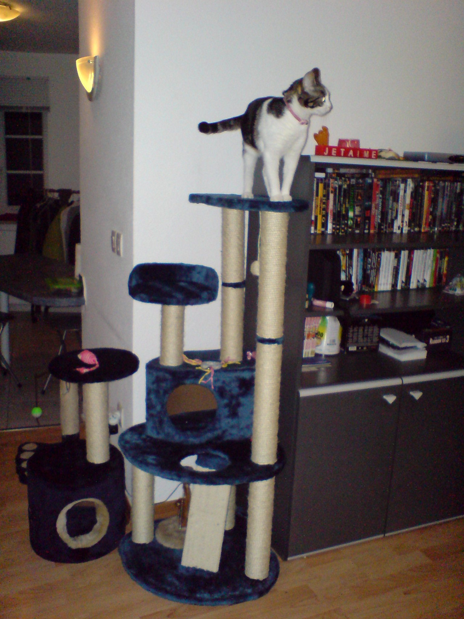 Arbre A Chat Lidl Pas Cher Chats Forum Animaux Doctissimo Arbre A Chat Lidl Pas Cher Chats Forum Animaux Doctissimo