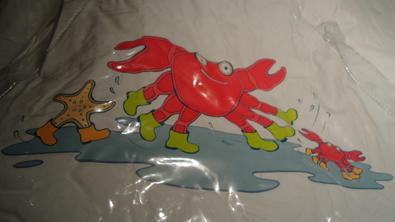 DSC06484 cape plastique crabe