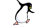 pingouin014