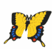 papillon (1)