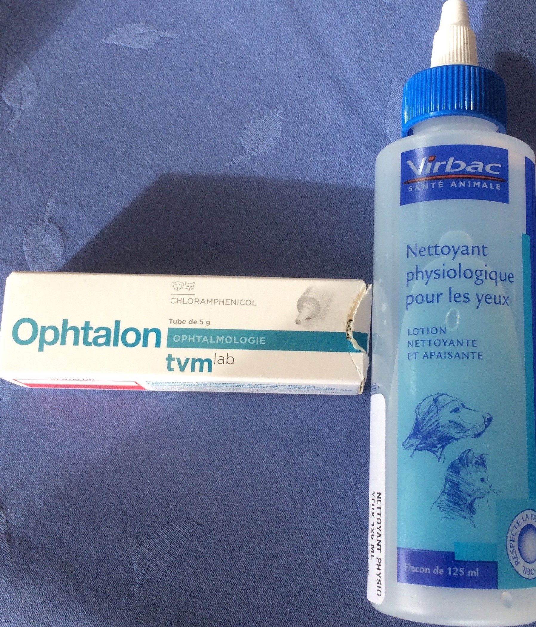Je Crois Que J Ai Une Urgence La Sante De Votre Chat Chats Forum Animaux Doctissimo