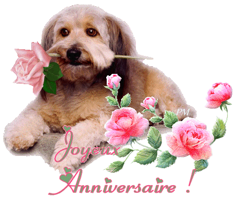 Joyeux Anniversaire Ines Anniversaire Mya 67 Photos Club Doctissimo