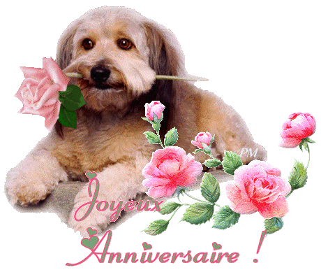 Joyeux Anniversaire Ines Anniversaire Mya 67 Photos Club Doctissimo Joyeux Anniversaire Ines Anniversaire Mya 67 Photos Club Doctissimo