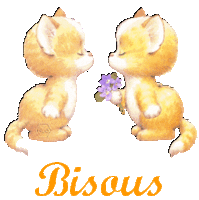 bisous-chat