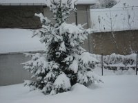 neige 1-12-2010 002